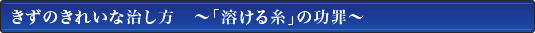 ̂ꂢȎ@`un鎅v̌߁`